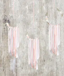 Msc attrapes reves corail