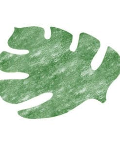 Set de table feuille