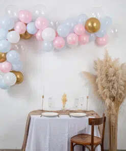 Arche ballon Gender Reavel