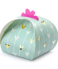 Boite a dragees cactus