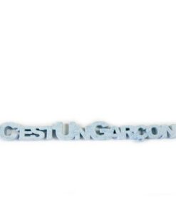 Gender reveal Garçon