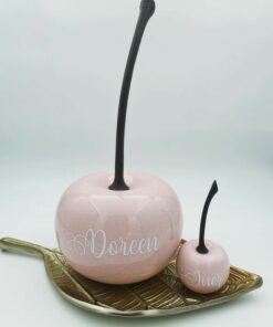 tirelire ceriserose poudré