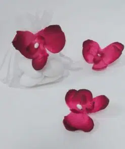 orchidees dragees fuchsia bordeaux