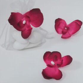 orchidees dragees fuchsia bordeaux