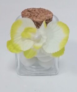 orchidées vert anis