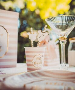 79155-A gobelet petite merveille raye blanc rose et do 79155