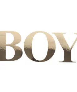 91544 Stickers BOY Or