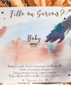 Jeux gender Reveal 79135