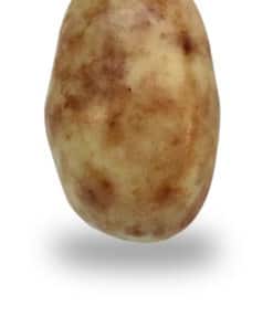 Alternative view of Dragées Amande chocolat Crème brûlée - 150gr