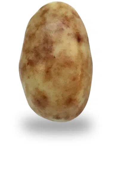 Dragées Amande chocolat Crème brûlée - 150gr – Image 2