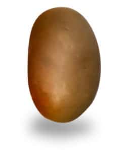 Dragées Amende chocolat Spéculoos