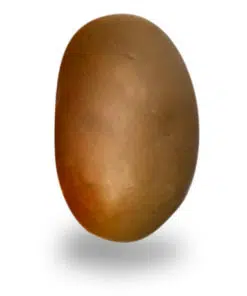 Dragées Amende chocolat Spéculoos