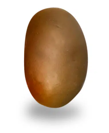 Dragées Amende chocolat Spéculoos