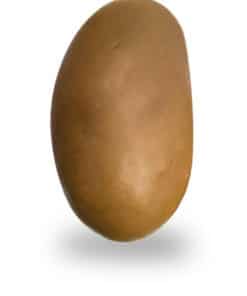 Dragées amande enrobée de chocolat caramel salé.