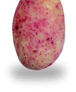 Alternative view of Dragées Amande chocolat Framboise - 150gr