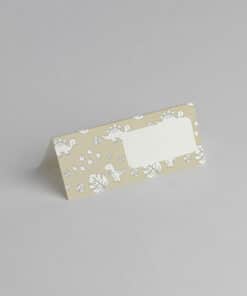 Carte de table Dinosaure - 2095.10