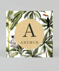 Étiquette à dragées - Carré - Koala