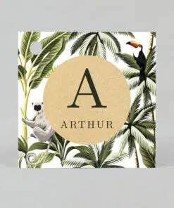 Étiquette à dragées - Carré - Koala