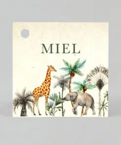 Étiquettes à dragées carré Jungle