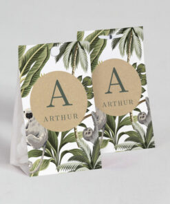 Boite à dragées Koala