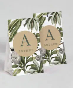 Boite à dragées Koala