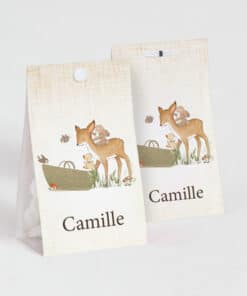 Contenant à dragées "Les amis de la forêt"