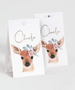 Contenant a dragees biche