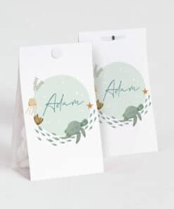 Contenant à dragées Tortue sous l'océan