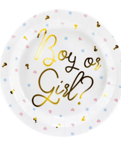 assiette boy or girl gender reveal