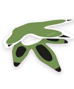 Marque place anniversaire dinosaure