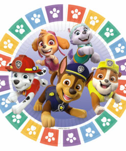 Assiette carton anniversaire Pat'Patrouille bleue