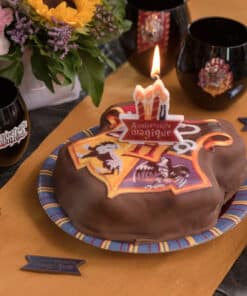 Deco gateau anniversaire sorcier