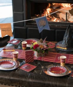 chapeau harry potter sorcier