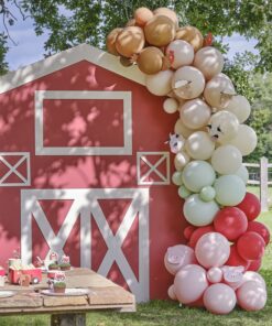 Déco Baptême Ferme Mixte