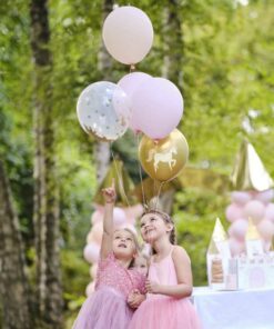 Décoration Anniversaire Princesse