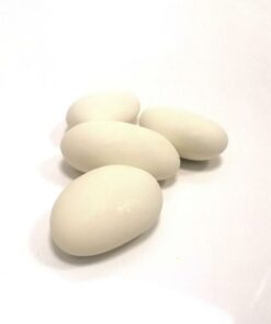 dragees avola duchesse champagne