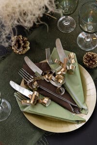 Alternative view of Serviettes papier - Vert Eucalyptus - Lot de 25