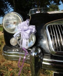 Noeud à tirer lilas deco de voiture