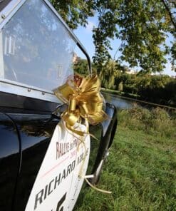 Noeud deco voiture doré