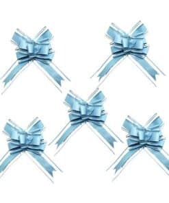 Noeud deco voiture bleu ciel