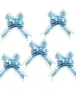 Noeud deco voiture bleu ciel