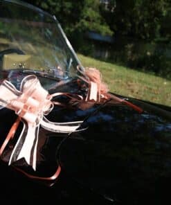 Alternative view of Noeud Voiture Mariage - Rose poudré - Lot de 5