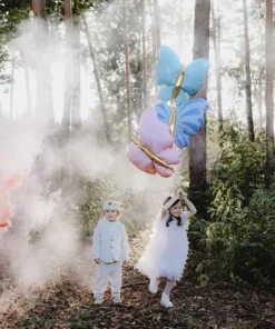 decoration anniversire papillon