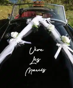 Kit deco voiture mariage