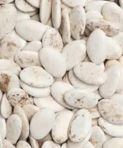 Dragées marbre or chocolat belge de bock