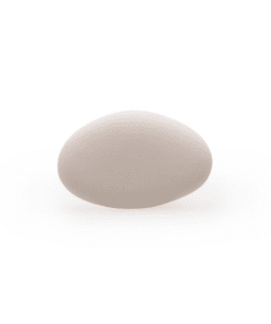 Alternative view of Dragées Chocolat  Belge - Nude - 1kg