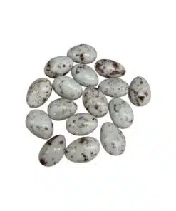 Dragées amande chocolat lait coco