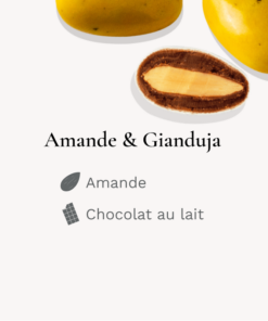 Alternative view of Galet Médicis Lorenzo - Jaune - 250 g