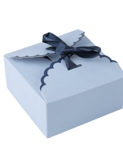 Contenant Bi-Color Bleu