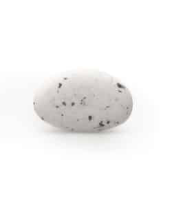 Dragees chocolat blanc marbré noir chocolat belge